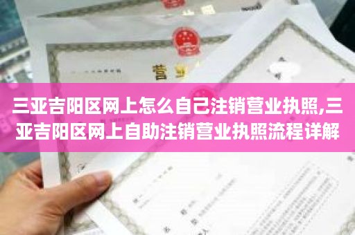 三亚吉阳区网上怎么自己注销营业执照,三亚吉阳区网上自助注销营业执照流程详解