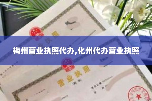 梅州营业执照代办,化州代办营业执照