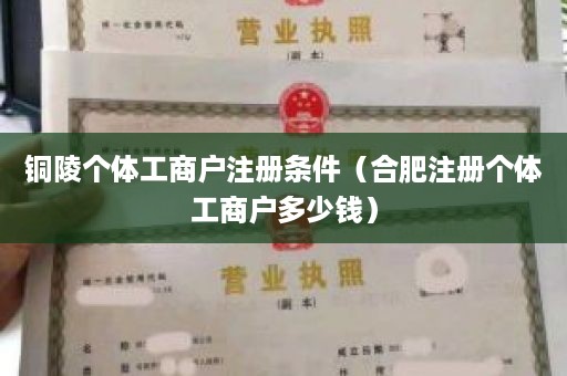 铜陵个体工商户注册条件（合肥注册个体工商户多少钱）