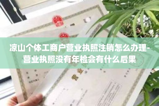 凉山个体工商户营业执照注销怎么办理-营业执照没有年检会有什么后果