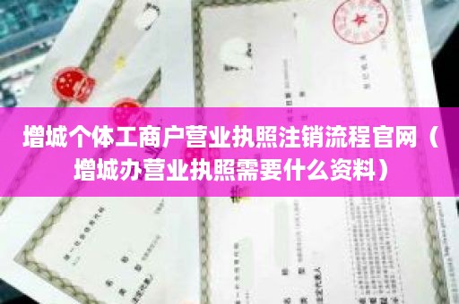 增城个体工商户营业执照注销流程官网（增城办营业执照需要什么资料）