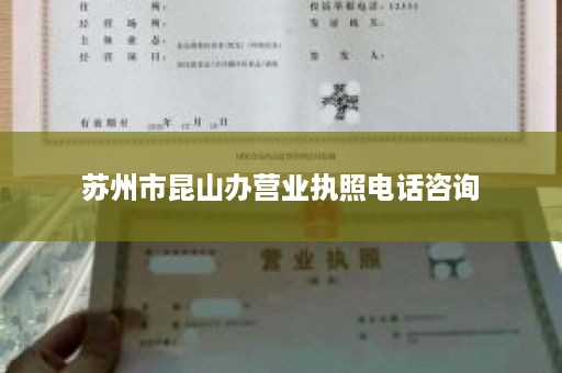 苏州市昆山办营业执照电话咨询