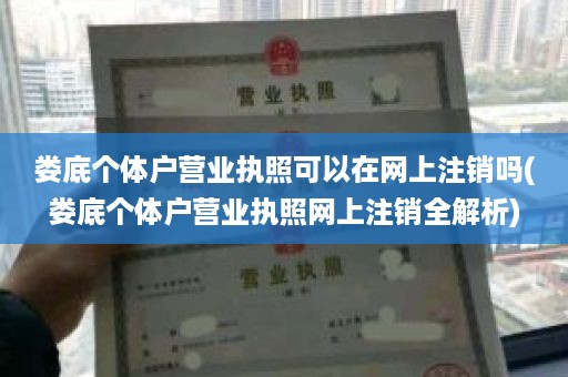 娄底个体户营业执照可以在网上注销吗(娄底个体户营业执照网上注销全解析)