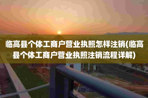 临高县个体工商户营业执照怎样注销(临高县个体工商户营业执照注销流程详解)