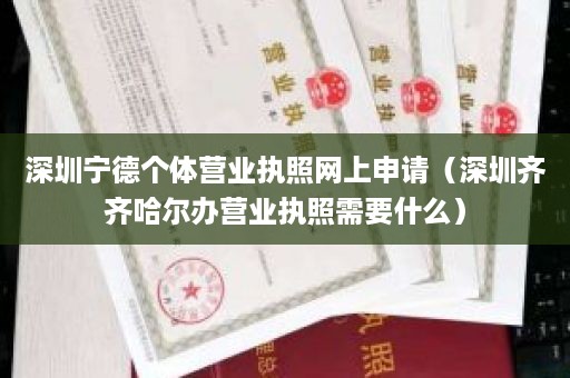 深圳宁德个体营业执照网上申请（深圳齐齐哈尔办营业执照需要什么）