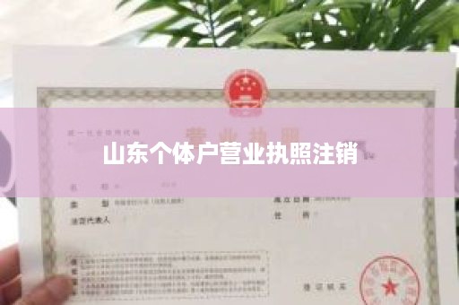 山东个体户营业执照注销