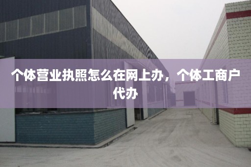 个体营业执照怎么在网上办，个体工商户代办