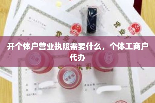 开个体户营业执照需要什么，个体工商户代办
