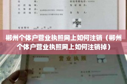 郴州个体户营业执照网上如何注销（郴州个体户营业执照网上如何注销掉）