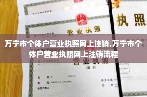 万宁市个体户营业执照网上注销,万宁市个体户营业执照网上注销流程