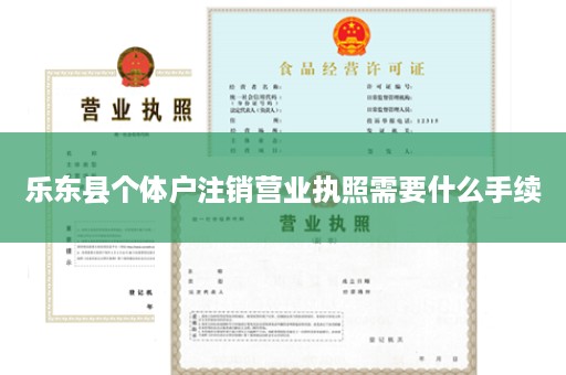 乐东县个体户注销营业执照需要什么手续