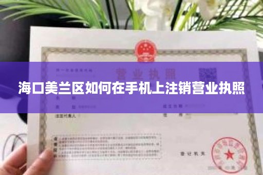 海口美兰区如何在手机上注销营业执照