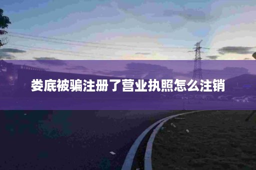 娄底被骗注册了营业执照怎么注销
