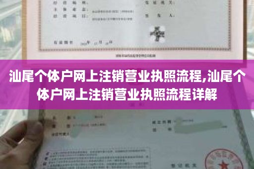 汕尾个体户网上注销营业执照流程,汕尾个体户网上注销营业执照流程详解