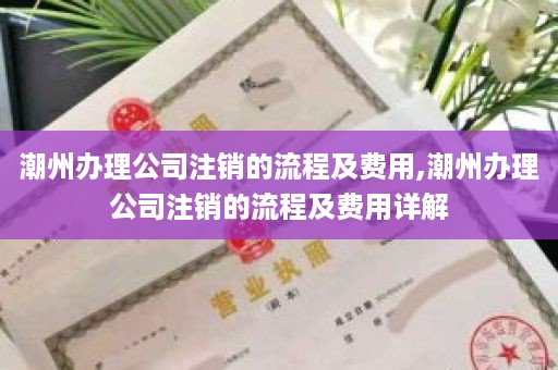 潮州办理公司注销的流程及费用,潮州办理公司注销的流程及费用详解