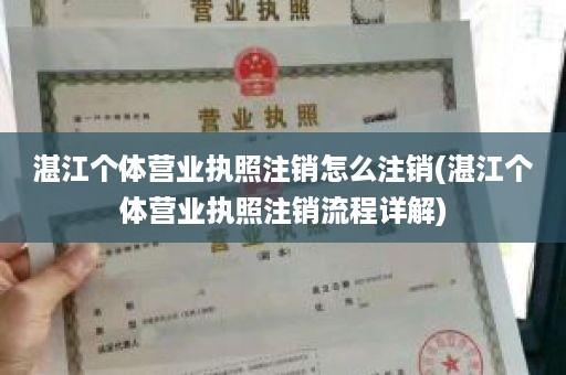 湛江个体营业执照注销怎么注销(湛江个体营业执照注销流程详解)