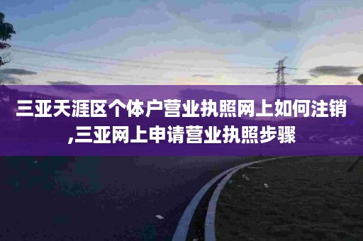 三亚天涯区个体户营业执照网上如何注销,三亚网上申请营业执照步骤