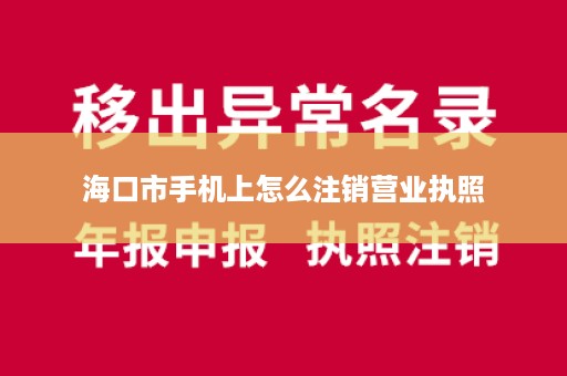 海口市手机上怎么注销营业执照