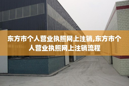 东方市个人营业执照网上注销,东方市个人营业执照网上注销流程