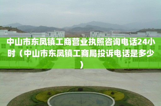 中山市东凤镇工商营业执照咨询电话24小时（中山市东凤镇工商局投诉电话是多少）