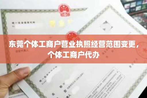 东莞个体工商户营业执照经营范围变更，个体工商户代办