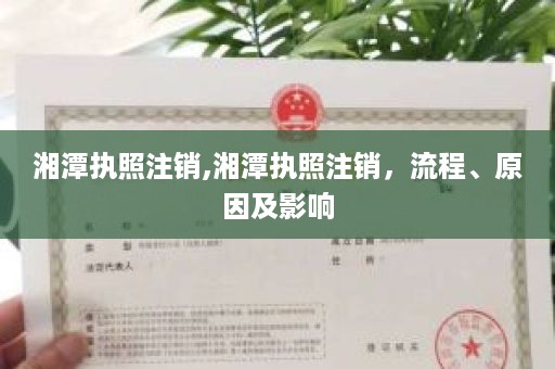 湘潭执照注销,湘潭执照注销，流程、原因及影响