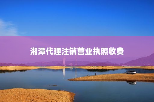 湘潭代理注销营业执照收费