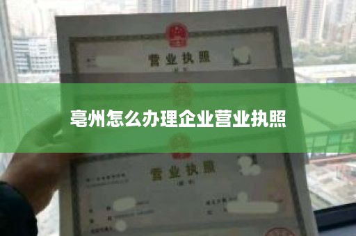 亳州怎么办理企业营业执照