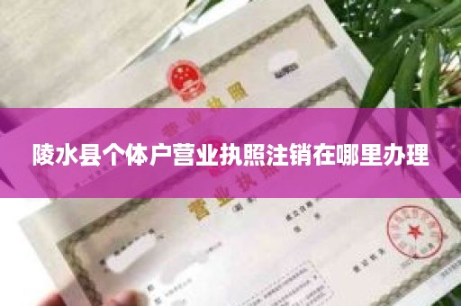 陵水县个体户营业执照注销在哪里办理
