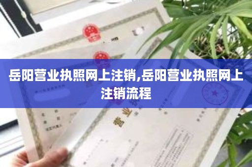 岳阳营业执照网上注销,岳阳营业执照网上注销流程