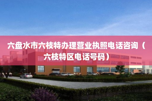 六盘水市六枝特办理营业执照电话咨询（六枝特区电话号码）
