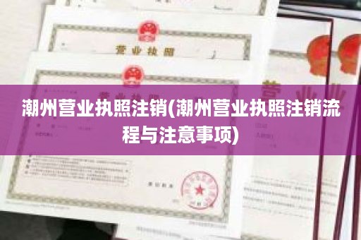 潮州营业执照注销(潮州营业执照注销流程与注意事项)