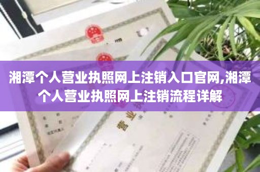 湘潭个人营业执照网上注销入口官网,湘潭个人营业执照网上注销流程详解