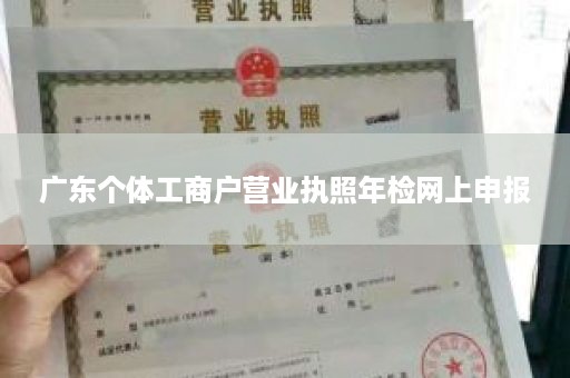 广东个体工商户营业执照年检网上申报