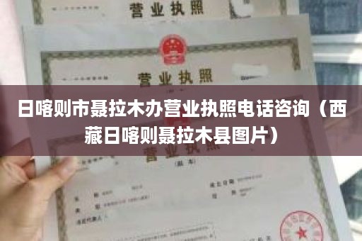 日喀则市聂拉木办营业执照电话咨询（西藏日喀则聂拉木县图片）