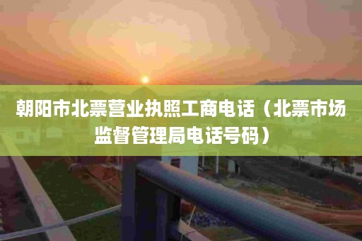 朝阳市北票营业执照工商电话（北票市场监督管理局电话号码）