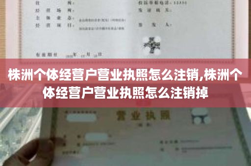 株洲个体经营户营业执照怎么注销,株洲个体经营户营业执照怎么注销掉