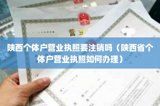 陕西个体户营业执照要注销吗（陕西省个体户营业执照如何办理）