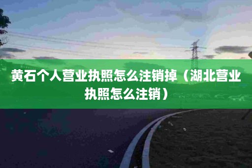 黄石个人营业执照怎么注销掉（湖北营业执照怎么注销）