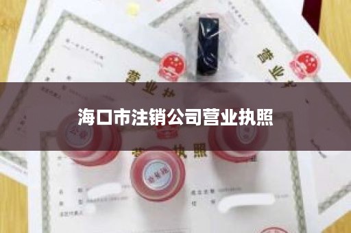 海口市注销公司营业执照