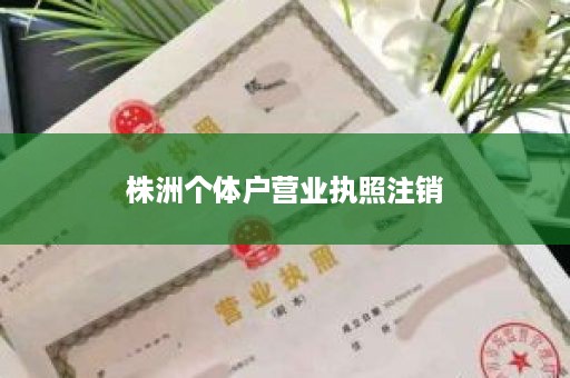 株洲个体户营业执照注销