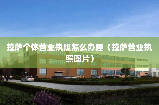 拉萨个体营业执照怎么办理（拉萨营业执照图片）