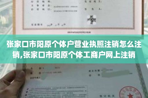 张家口市阳原个体户营业执照注销怎么注销,张家口市阳原个体工商户网上注销