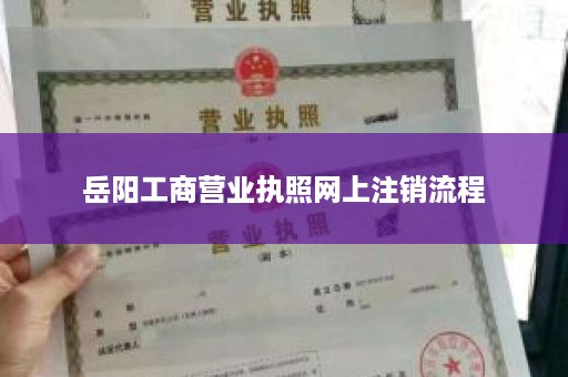 岳阳工商营业执照网上注销流程