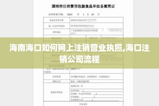 海南海口如何网上注销营业执照,海口注销公司流程