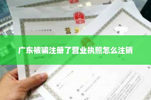 广东被骗注册了营业执照怎么注销