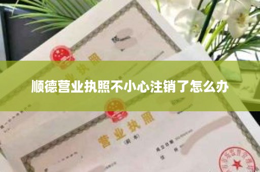 顺德营业执照不小心注销了怎么办