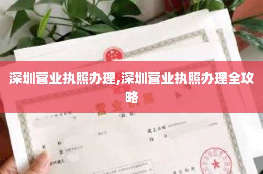 深圳营业执照办理,深圳营业执照办理全攻略