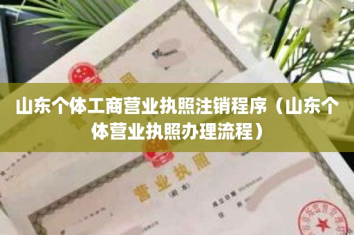 山东个体工商营业执照注销程序（山东个体营业执照办理流程）