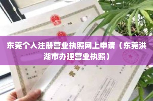 东莞个人注册营业执照网上申请（东莞洪湖市办理营业执照）